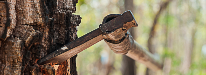 Best Way To Chop Down A Tree With An Axe